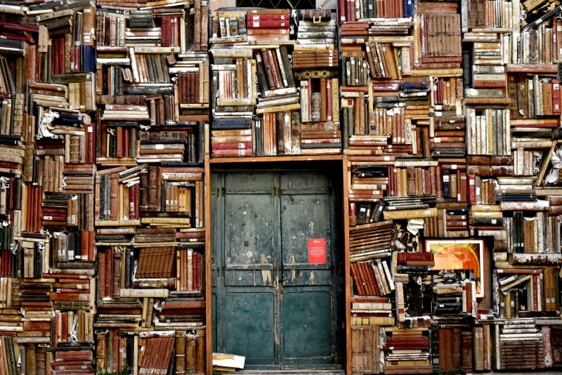 librairie-ST MANDRIER SUR MER-min_books-1655783